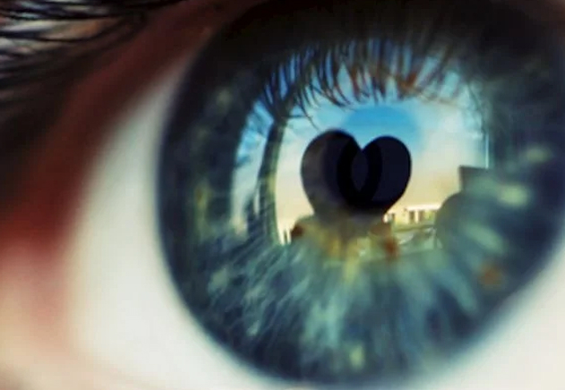 Beauty After Bruises Media