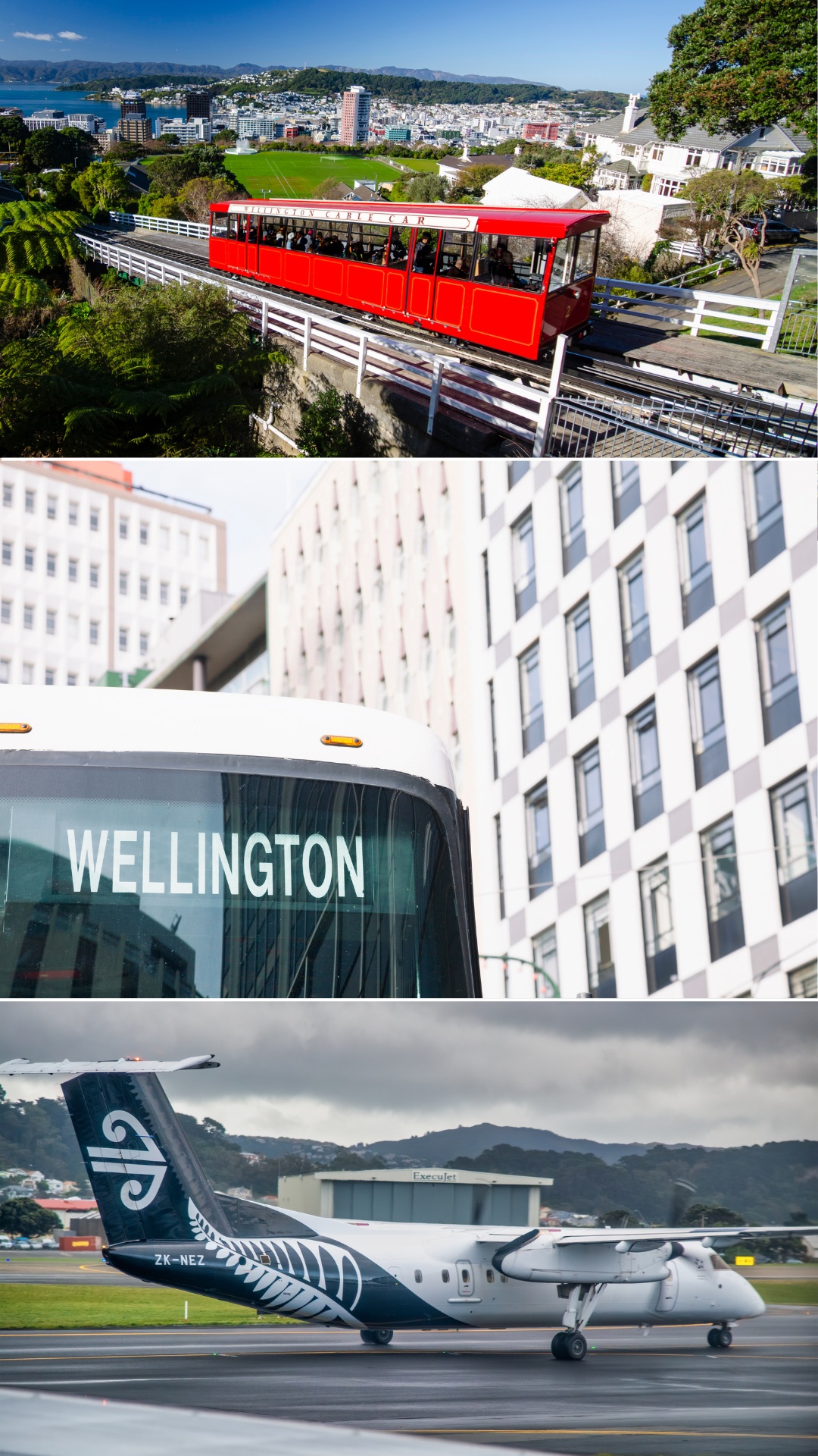 Hotels within Walking Distance of the Venue